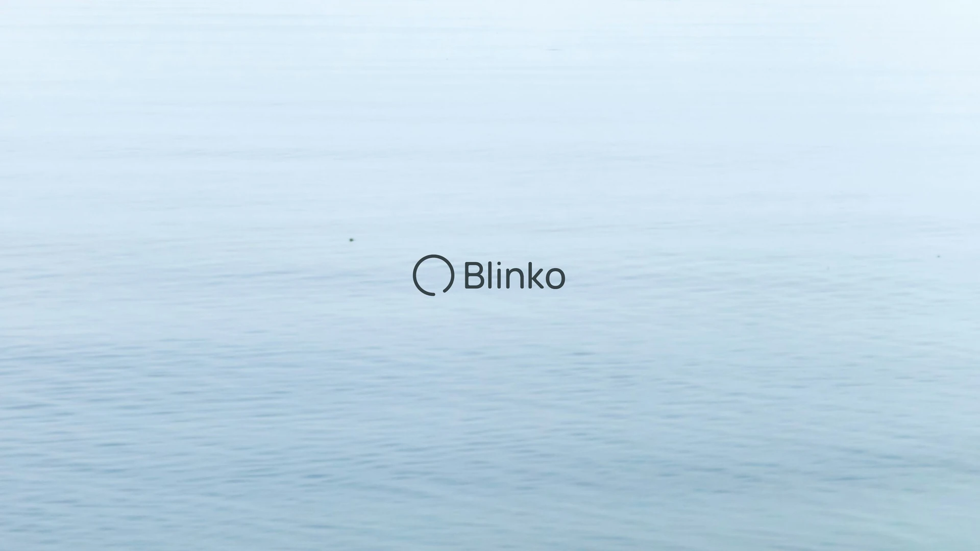 Blinko — slide 20