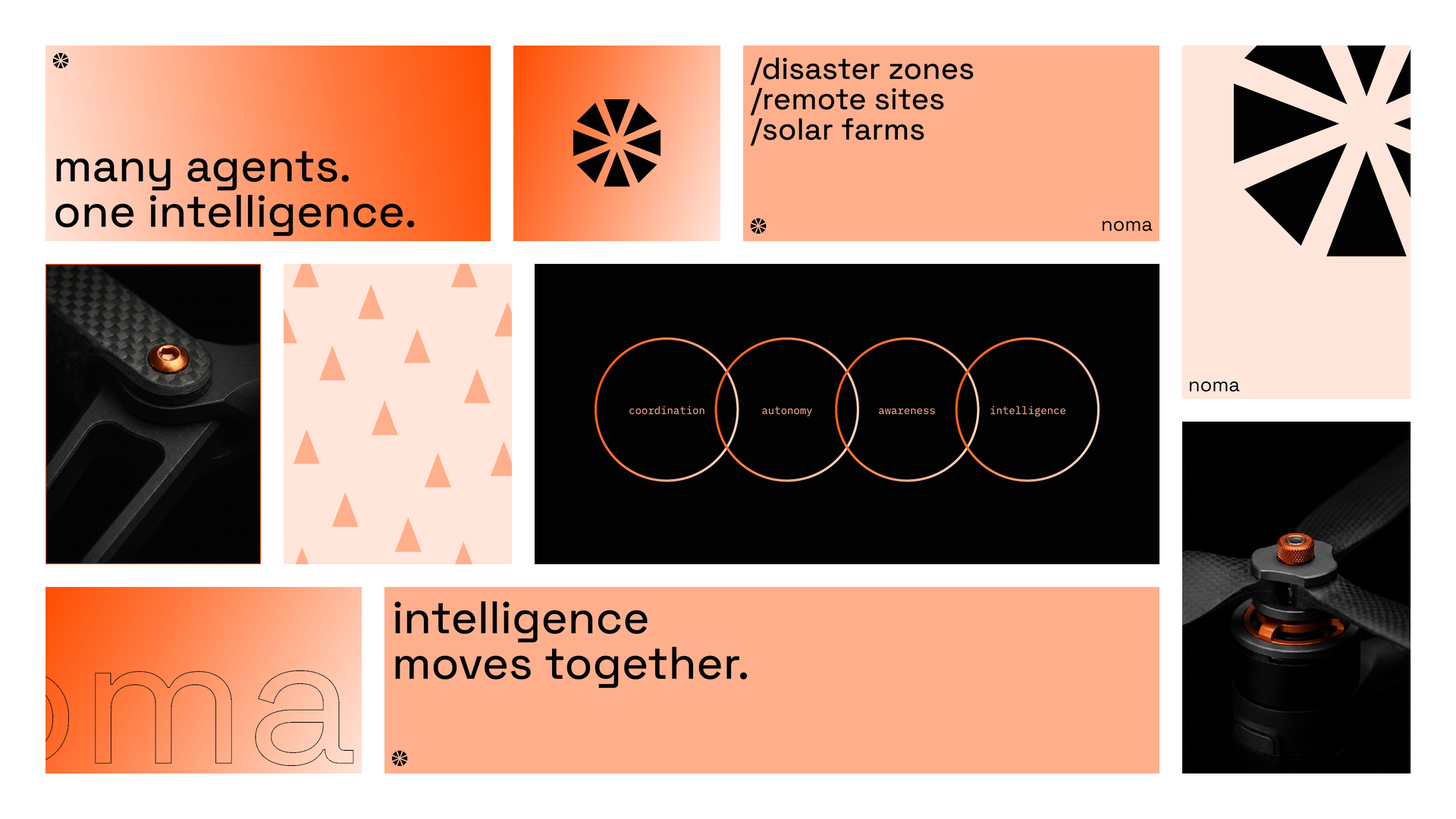 Noma — slide 6